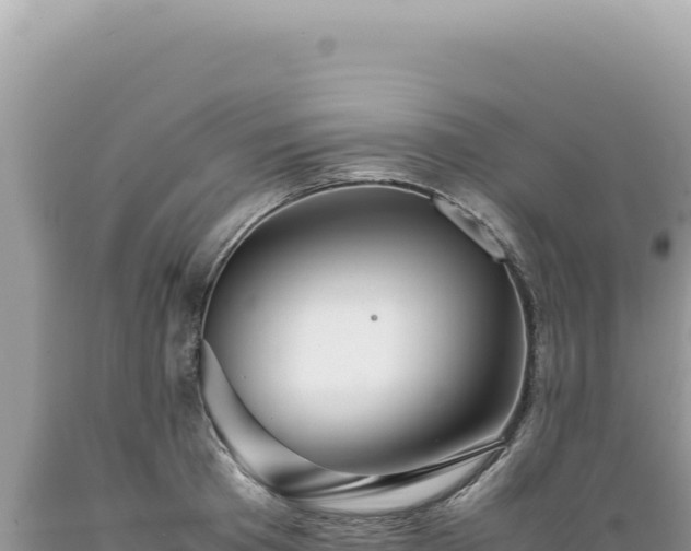 X0000089370801200706221220