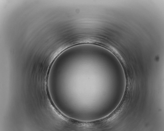 X0000089370802200706221220