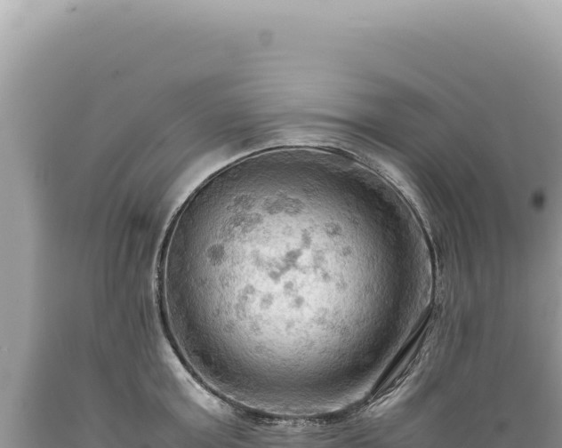 X0000089370803200706221220