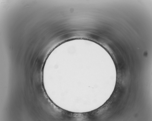 X0000089370807200706221220