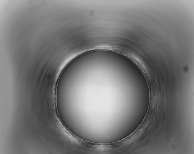 X0000089370808200706221220