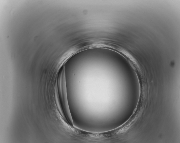 X0000089370809200706221220