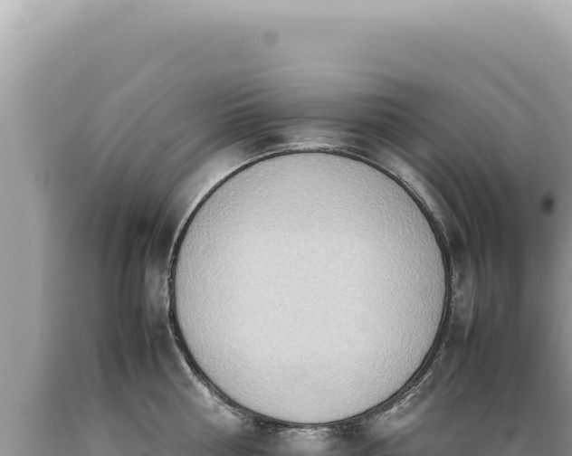 X0000089370810200706221220