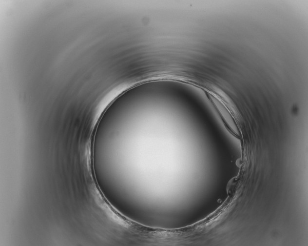 X0000089370812200706221220