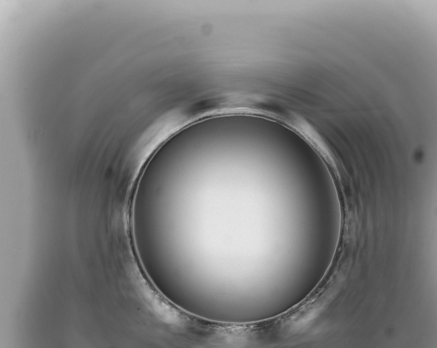 X0000089370813200706221220