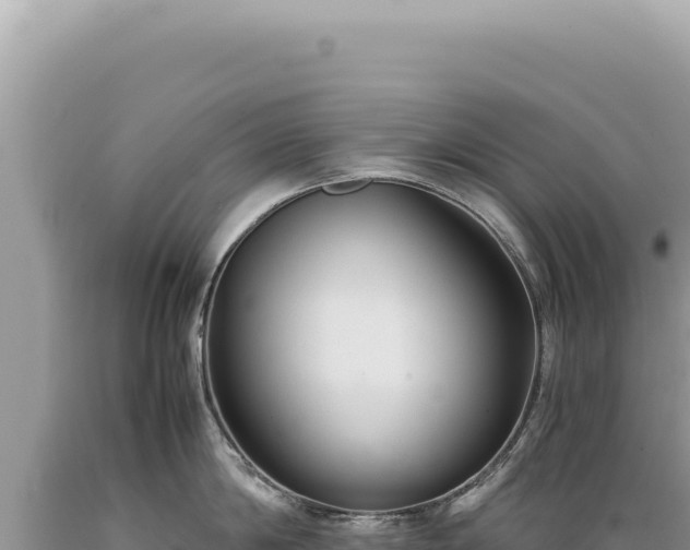 X0000089370814200706221220