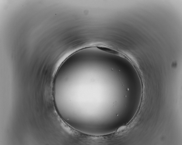X0000089370816200706221220