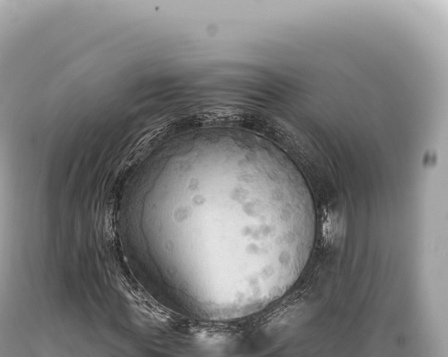 X0000089370819200706221219