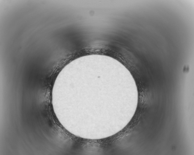 X0000089370820200706221219