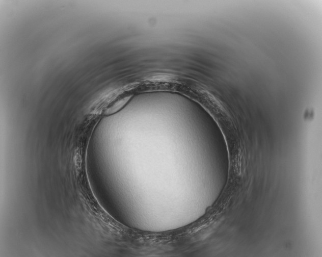 X0000089370821200706221219