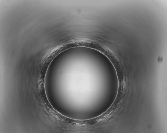 X0000089370822200706221219