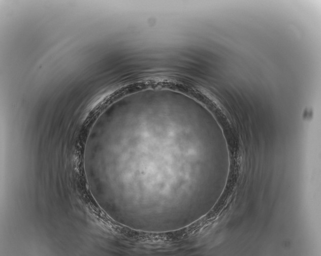 X0000089370823200706221219