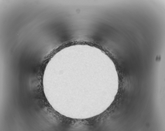 X0000089370824200706221219