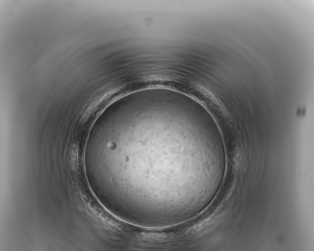 X0000089370825200706221219