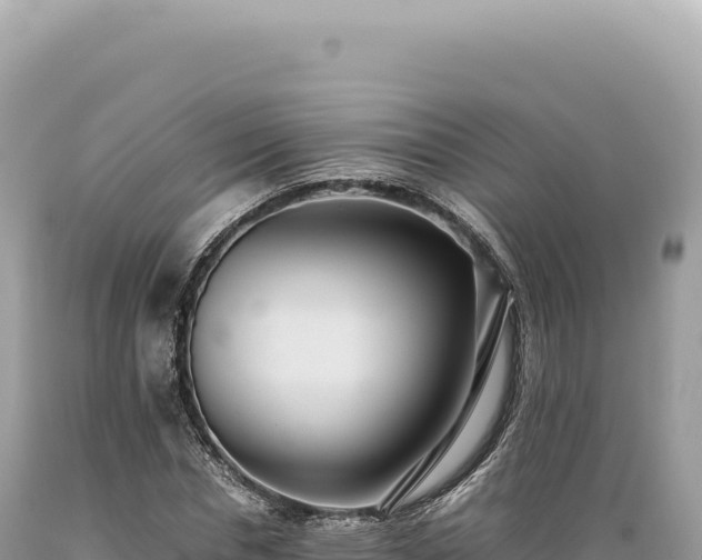 X0000089370826200706221219