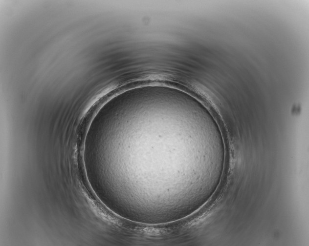 X0000089370827200706221219