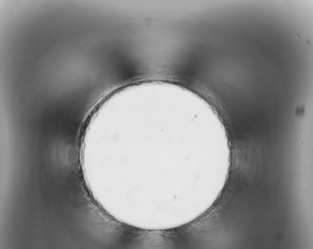 X0000089370828200706221219