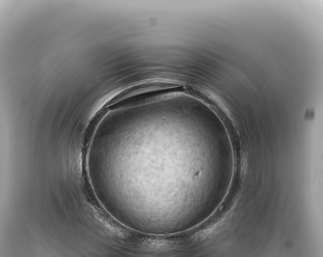 X0000089370829200706221219