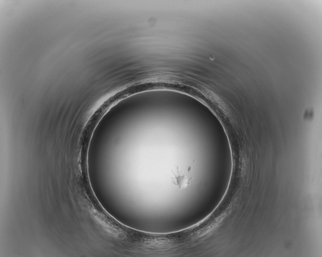 X0000089370830200706221219