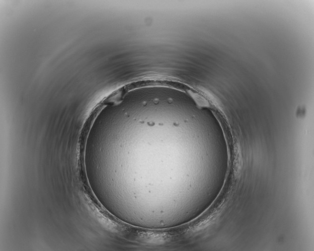 X0000089370831200706221219
