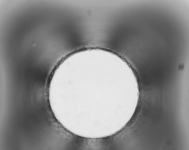 X0000089370832200706221220