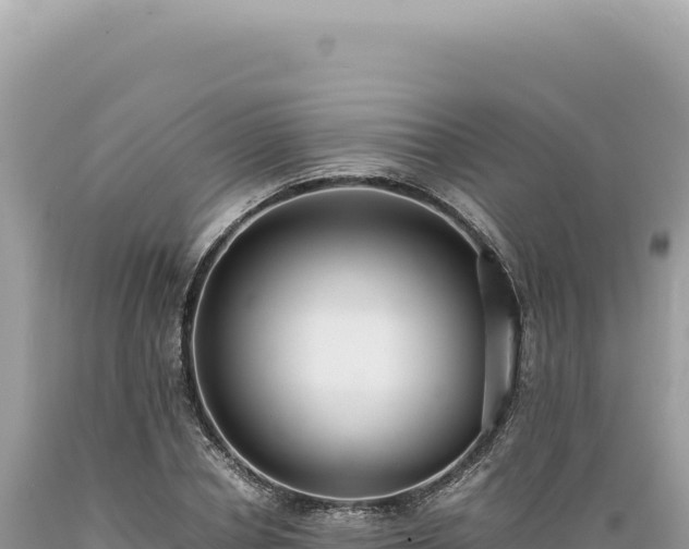 X0000089370834200706221220