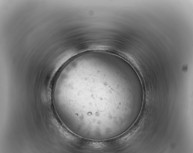 X0000089370835200706221220