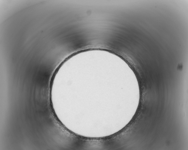 X0000089370836200706221220