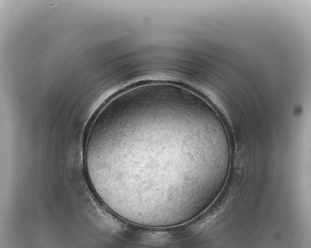 X0000089370837200706221220