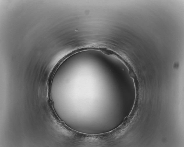 X0000089370838200706221220