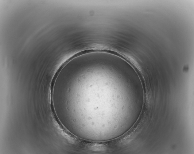 X0000089370839200706221220