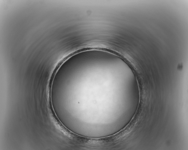 X0000089370840200706221220