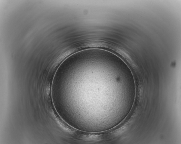 X0000089370841200706221220
