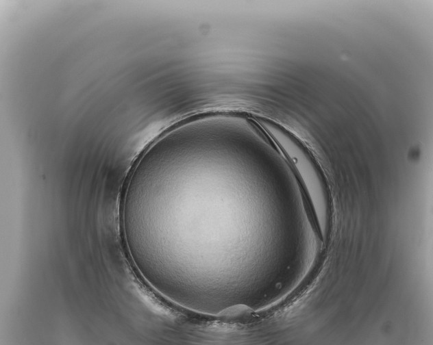 X0000089370842200706221220