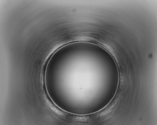 X0000089370843200706221220