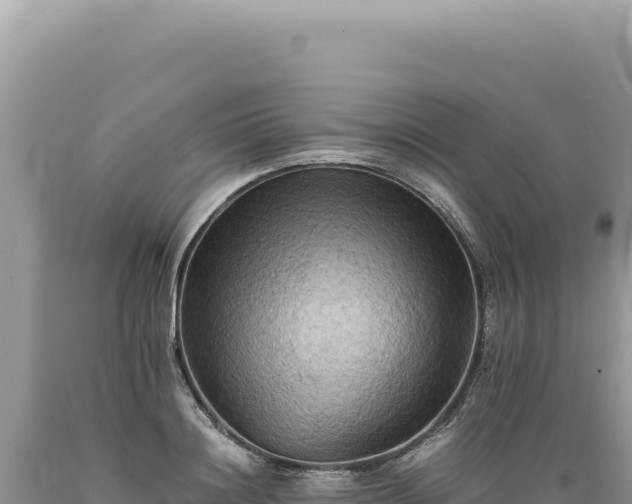 X0000089370844200706221220