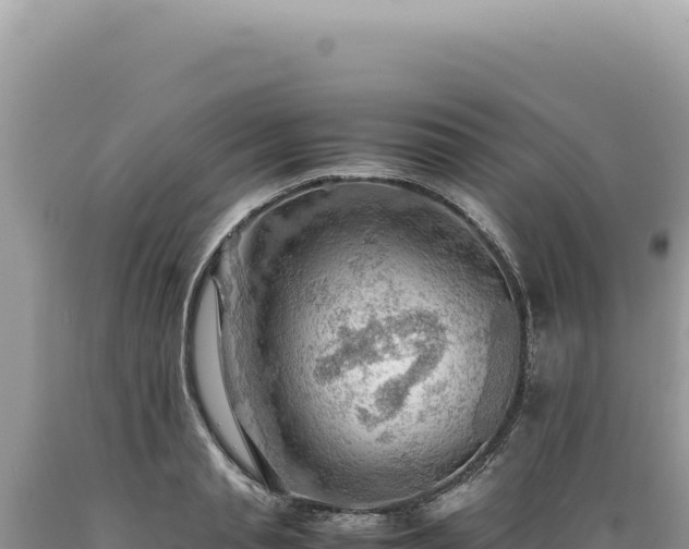 X0000089370845200706221220