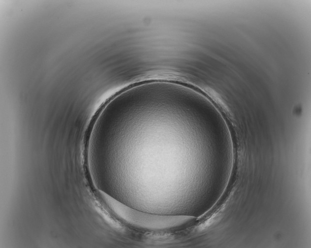 X0000089370846200706221220