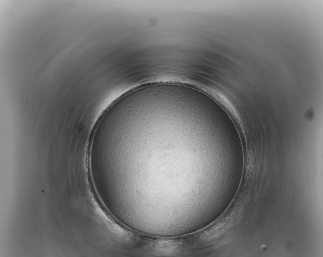 X0000089370847200706221220