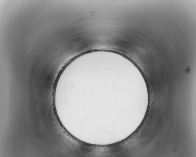 X0000089370848200706221220