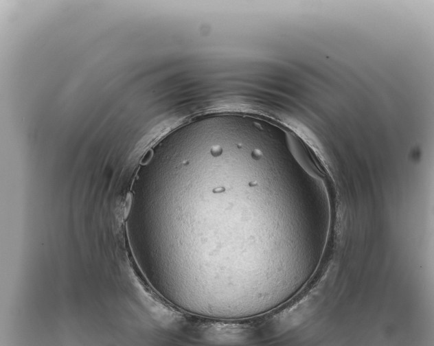 X0000089370849200706221220