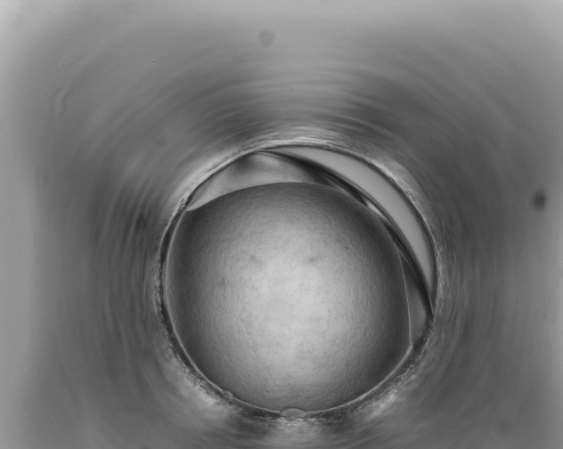 X0000089370850200706221220