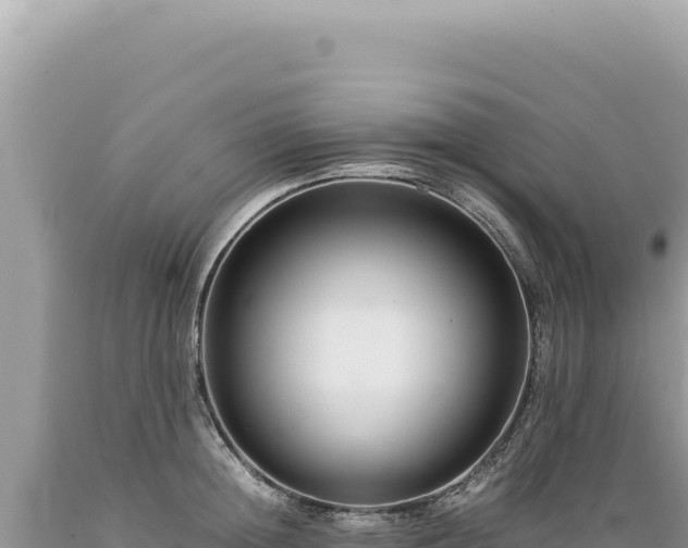 X0000089370852200706221220