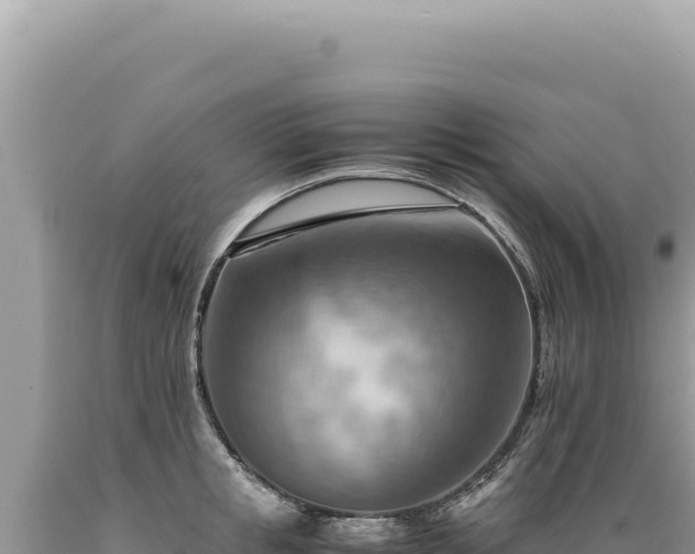 X0000089370853200706221220