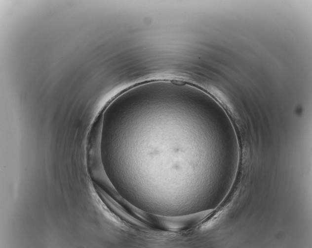 X0000089370854200706221220