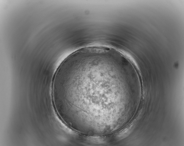 X0000089370855200706221220