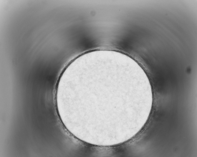 X0000089370856200706221220