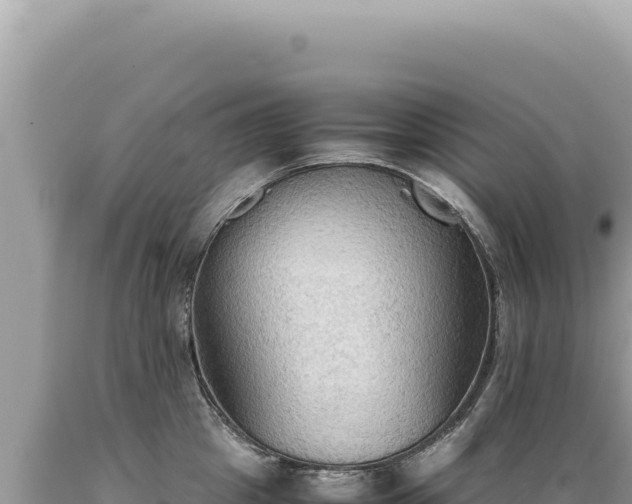 X0000089370857200706221220
