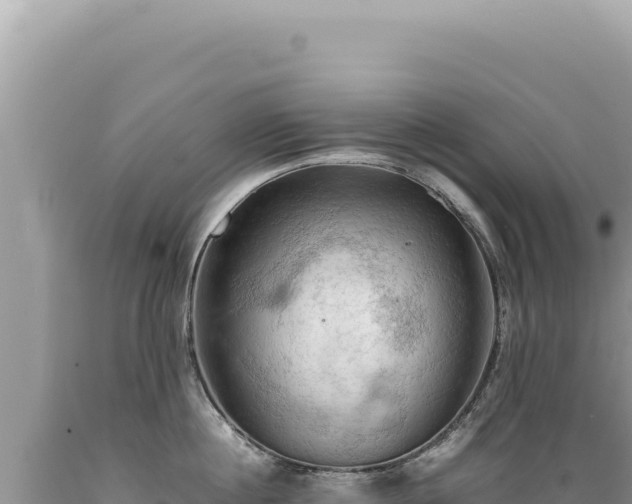 X0000089370860200706221220