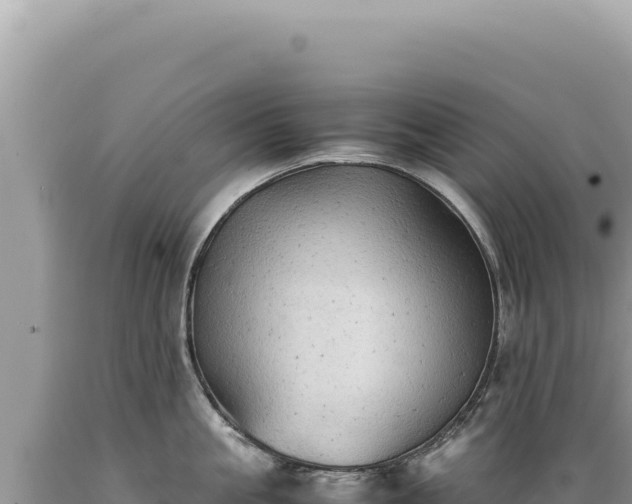 X0000089370861200706221220